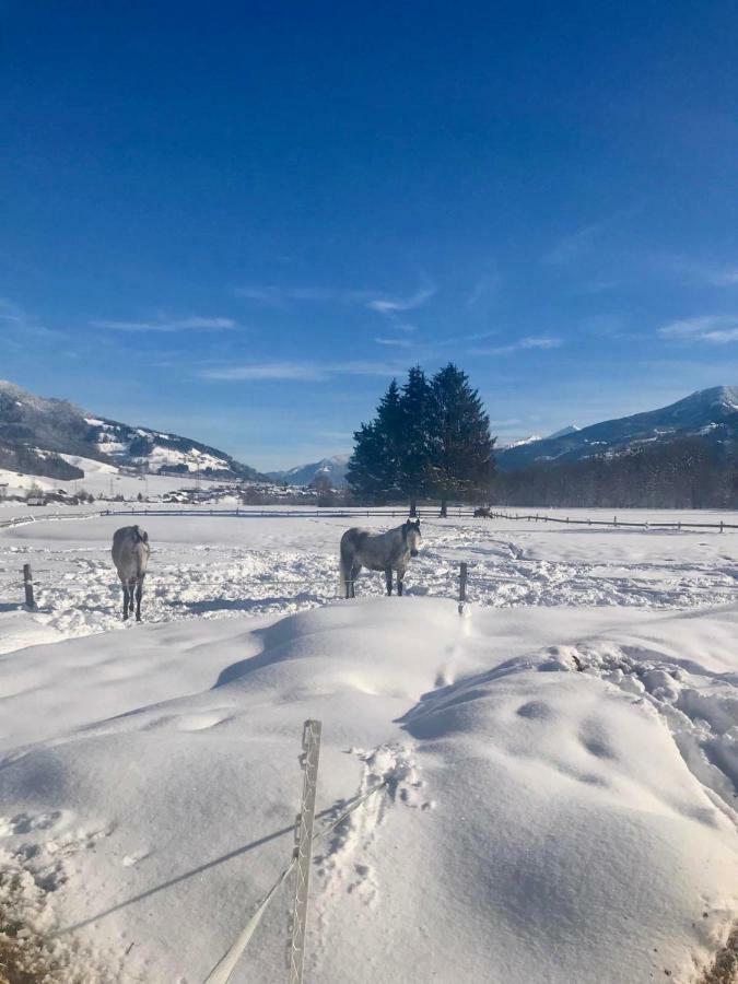 Traumhafte Wohnung Auf Pferde Ranch Aich  Εξωτερικό φωτογραφία