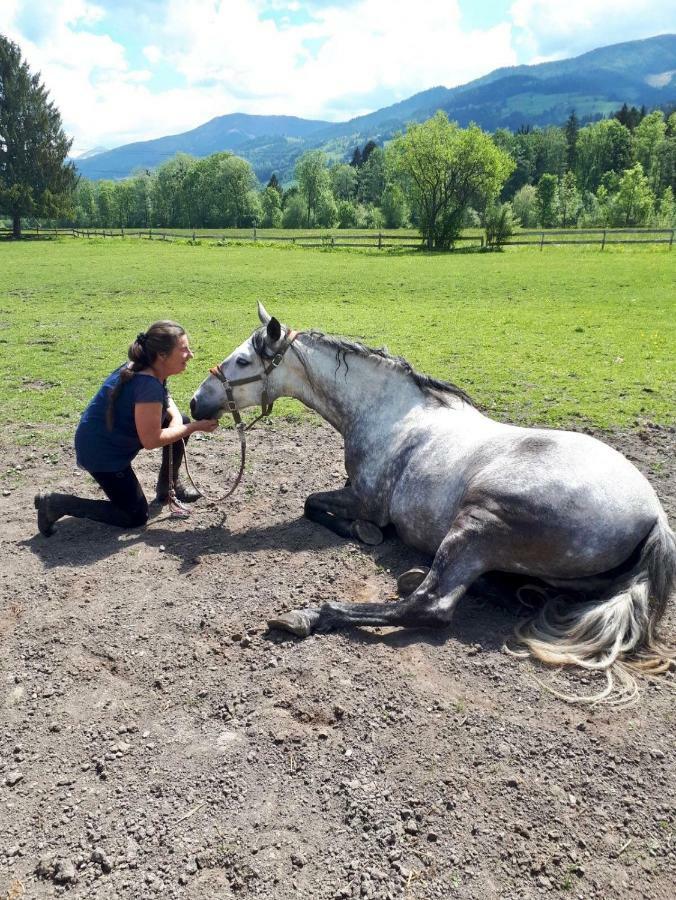 Traumhafte Wohnung Auf Pferde Ranch Aich  Εξωτερικό φωτογραφία